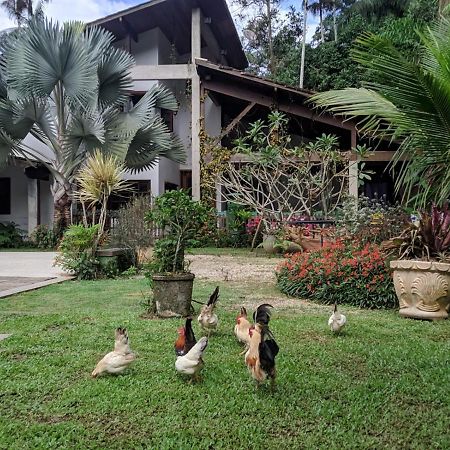 Appartement Casa Na Floresta à Penedo  Extérieur photo