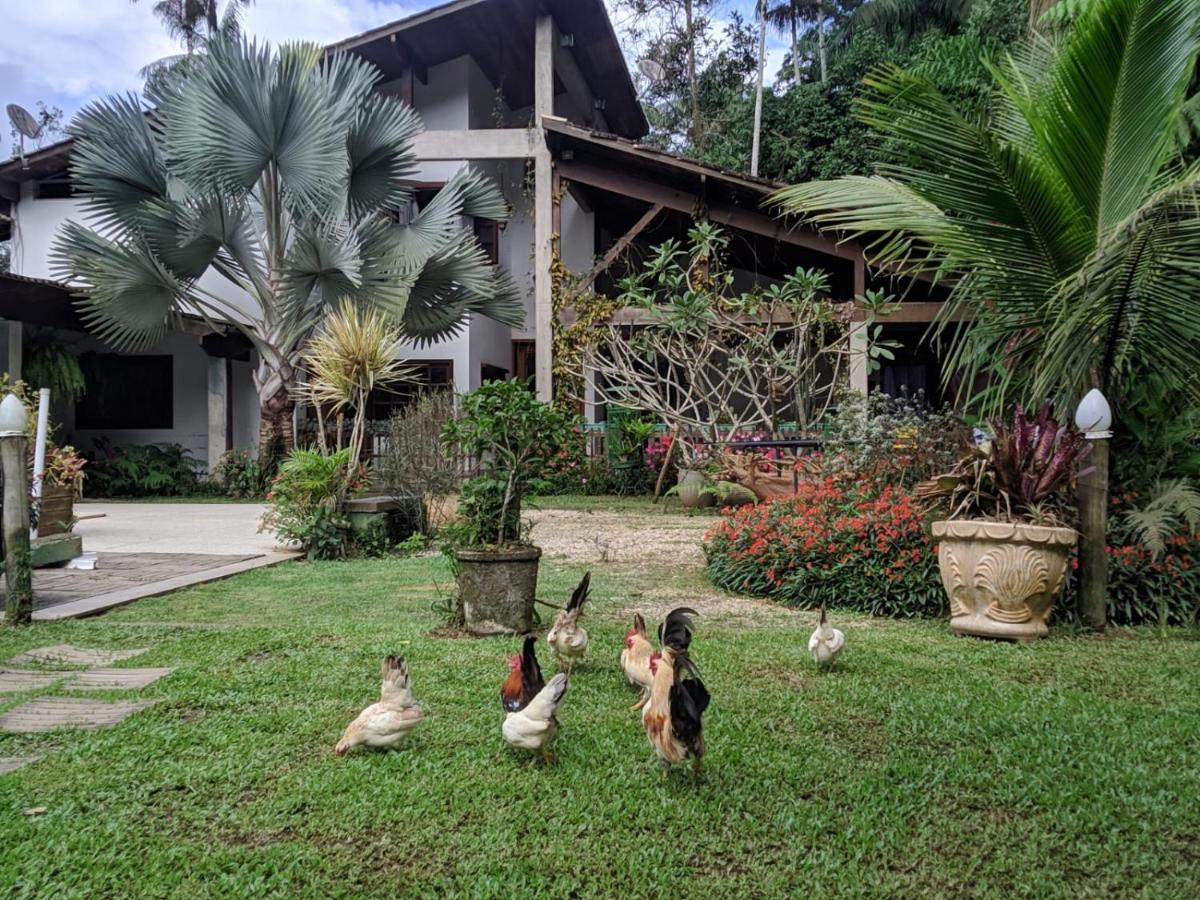 Appartement Casa Na Floresta à Penedo  Extérieur photo